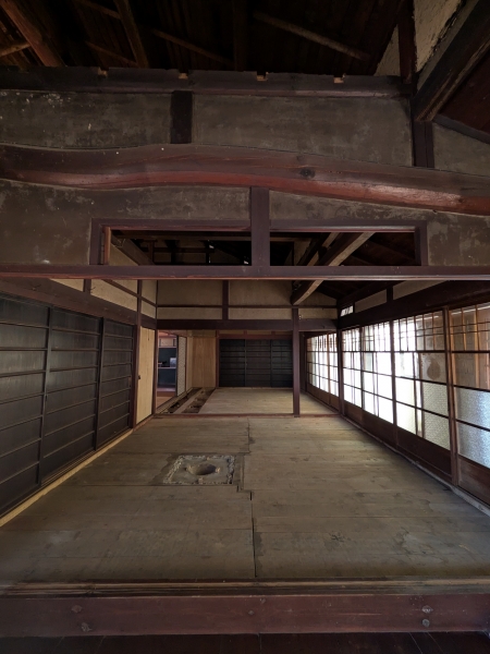 PXL 20251108 033554970